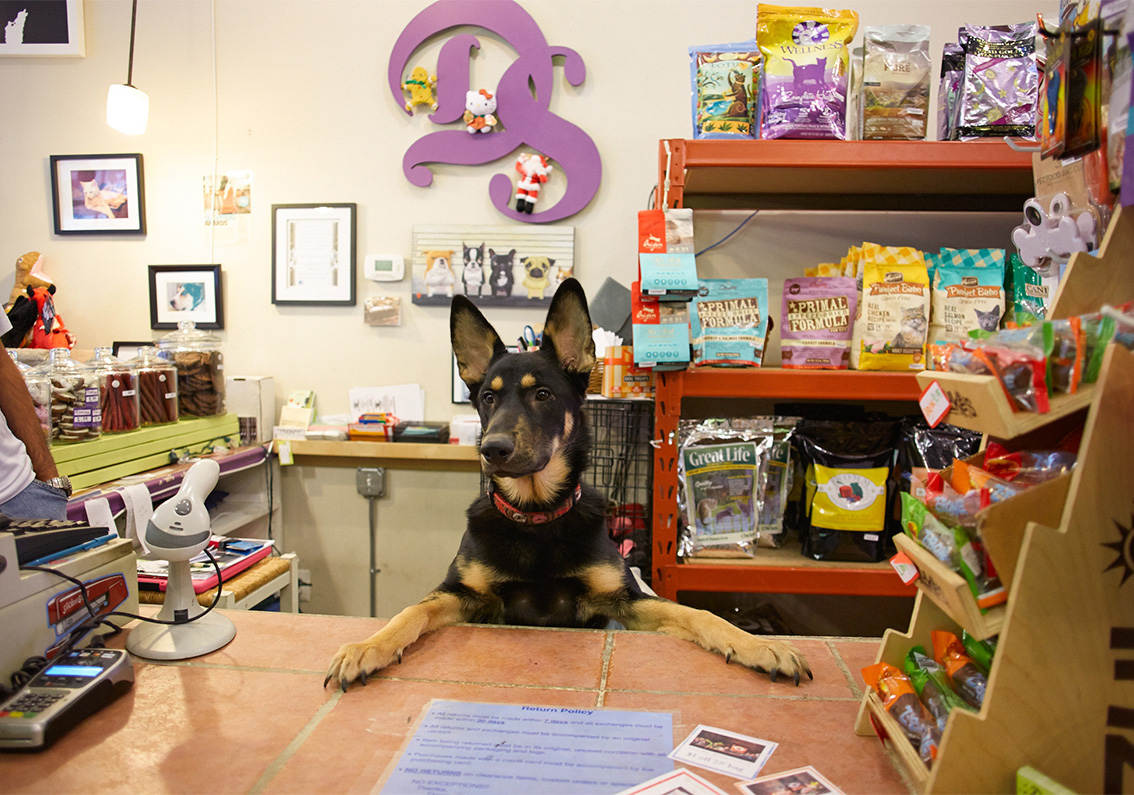 科普：寵物店如何起名才有銷售力？