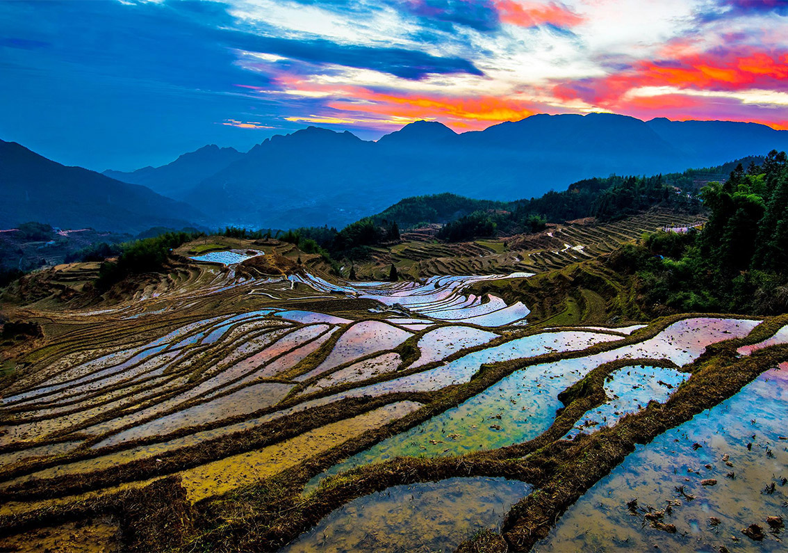 1590842274867031.jpg 麗水-公司-起名-探鳴-公司起名網(wǎng).jpg