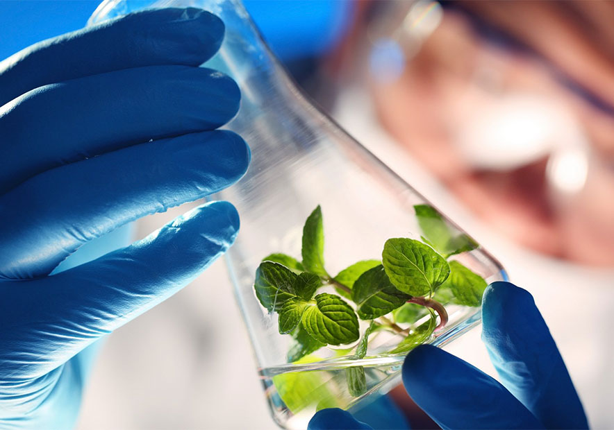 生物科技有限公司起名大全-好聽的生物公司名字大全集-探鳴起名網.jpg 生物科技有限公司起名大全-好聽的生物公司名字大全集-探鳴起名網.jpg