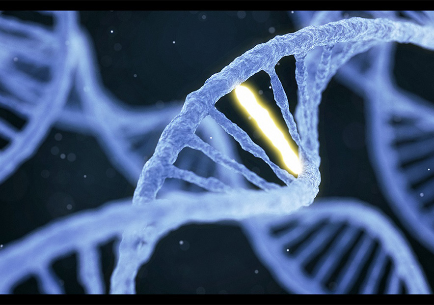 好聽(tīng)的生物公司名字大全集.jpg 好聽(tīng)的生物公司名字大全集.jpg