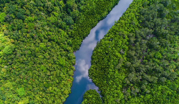 木業(yè)有限公司取名可以展現(xiàn)經(jīng)營理念.png 木業(yè)有限公司取名可以展現(xiàn)經(jīng)營理念.png