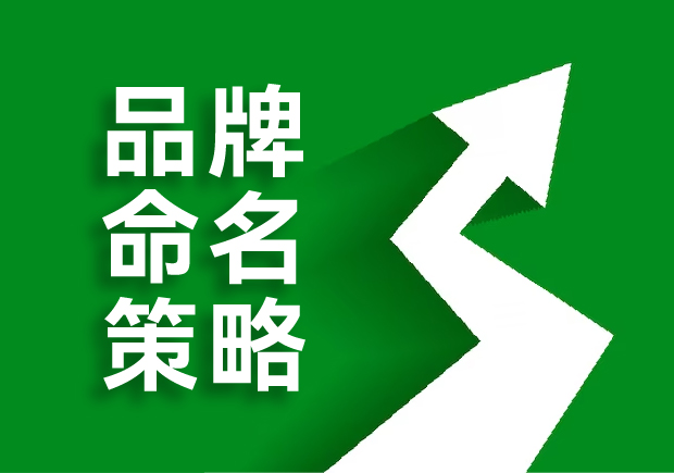 品牌命名的策略是什么，核心原則是這六點！