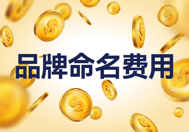 國(guó)內(nèi)外品牌命名費(fèi)用是多少？