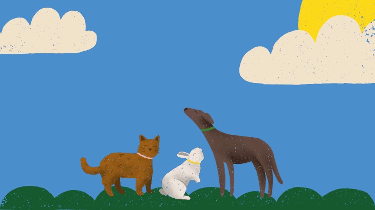 寵物品牌起名企業(yè)命名全流程實(shí)操建議 .jpg