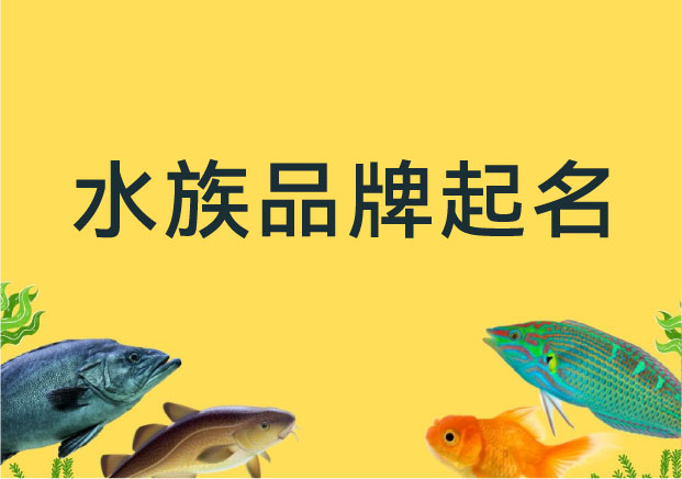 水族品牌起名：從“賣魚缸”到“造意境”，如何用名字裁出品牌的審美溢價？