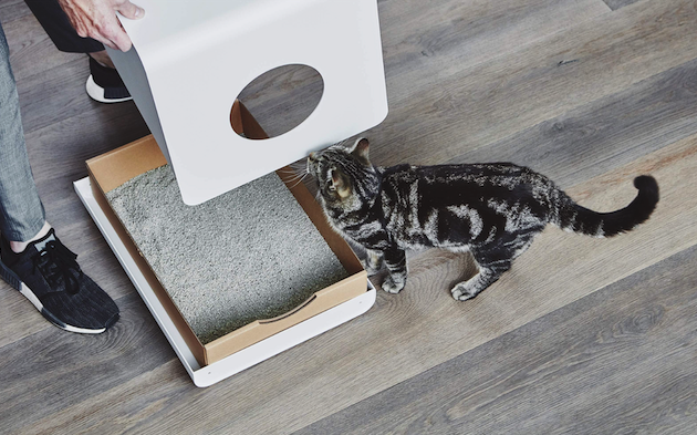  貓砂品牌起名 -專業(yè)公司.png